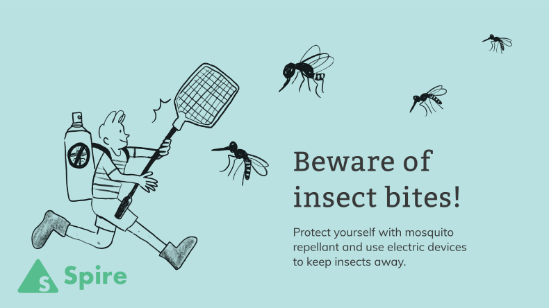 Tips to Keep Mosquitoes Away From the House
