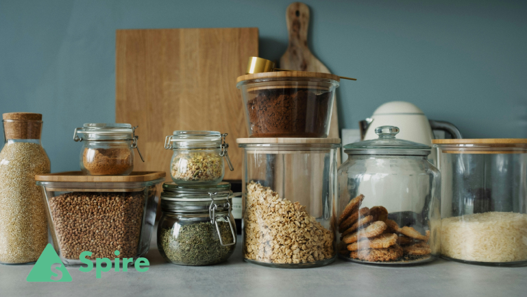 Keeping Your Kitchen Pest-Free | How to Get Rid of Pantry Bugs?